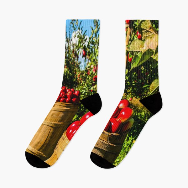 Item preview, fwc 1335 orchard designed and sold by fred chiea.