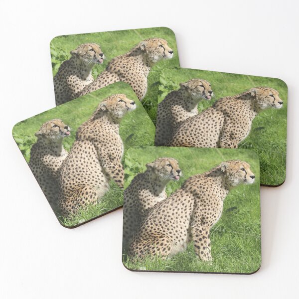 Item preview, Cheetahs designed and sold by aquabella.