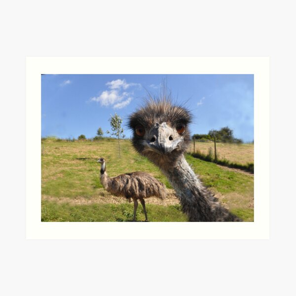Lol Art Print