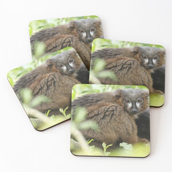 Item preview, Lemur designed and sold by aquabella.