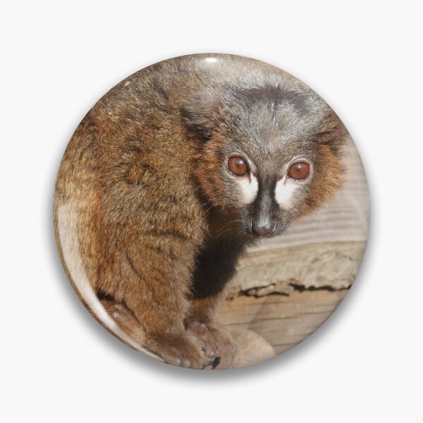 Item preview, Lemur designed and sold by aquabella.