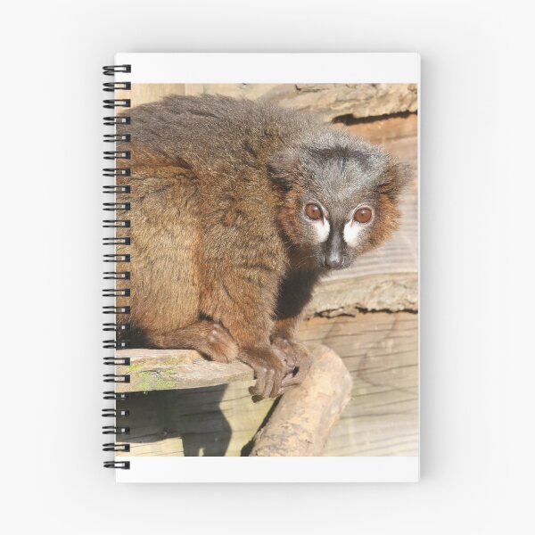 Item preview, Lemur designed and sold by aquabella.