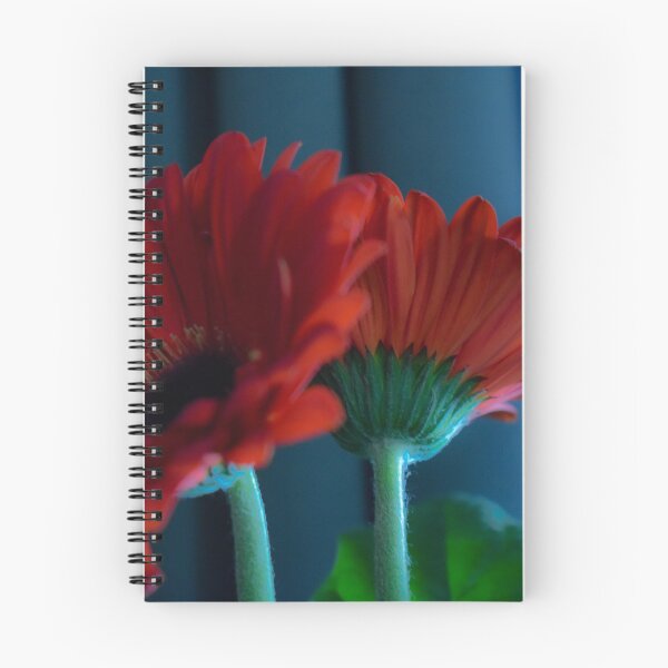 Item preview, Red Daisies designed and sold by DonnaMariePhoto.