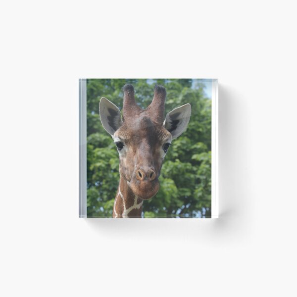 Item preview, Giraffe designed and sold by aquabella.