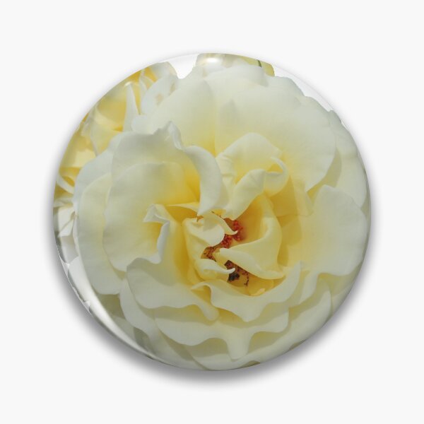 Item preview, Creamy Roses designed and sold by KazM.