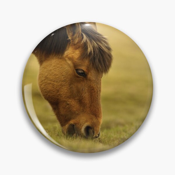 Item preview, Horse designed and sold by OrionPhotograph.