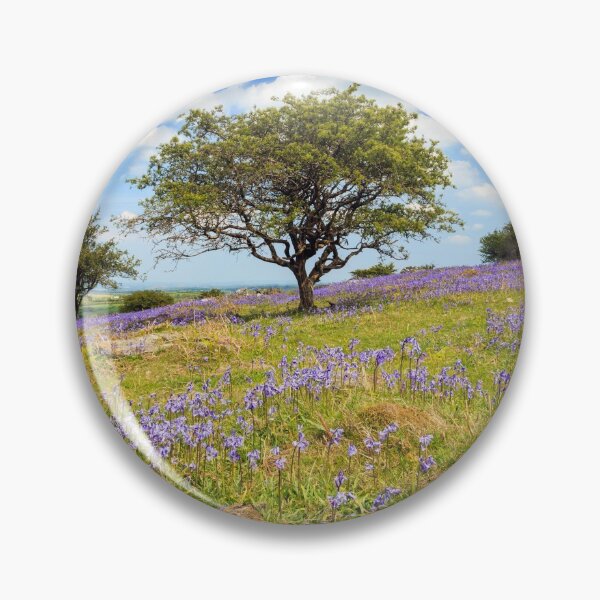 Item preview, Dartmoor Bluebells designed and sold by bitm2007.