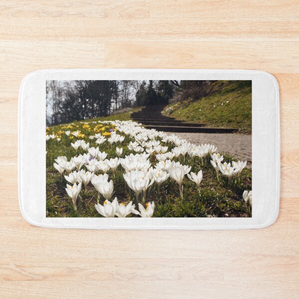 Item preview, White crocus flower next to a park way designed and sold by Yven-Dienst.