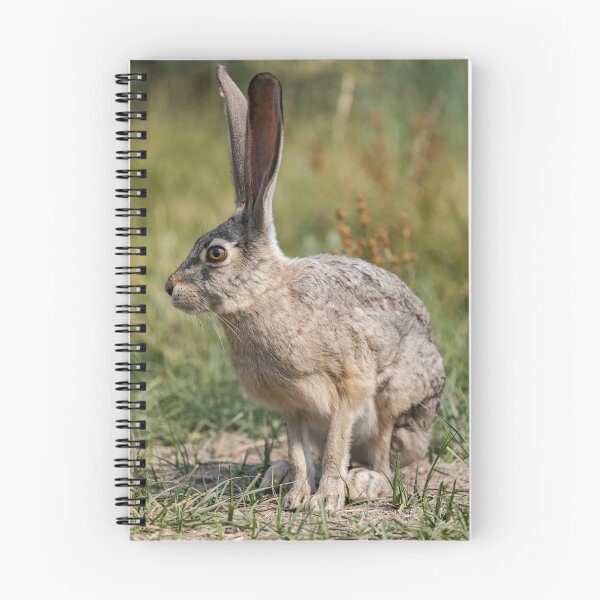 Item preview, Hare designed and sold by LizzieMaher.