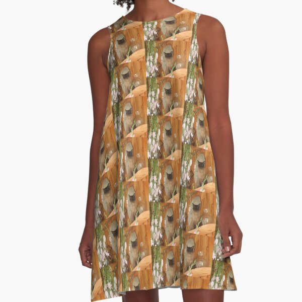 Siamese Cat Posing #2 A-Line Dress
