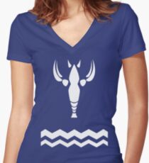 Wind Waker-Hero's New Clothes Women's Fitted V-Neck T-Shirt