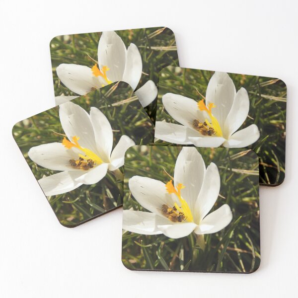 Item preview, A bee in a gleaming white crocus. designed and sold by Yven-Dienst.