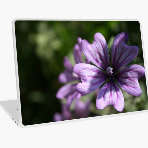Mauve Mallow Laptop Skin