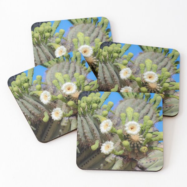 Item preview, Desert Bloom: The Saguaro's Resilient Beauty designed and sold by SiliconValleyUS.
