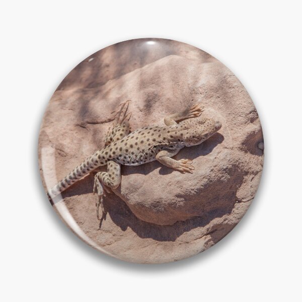 Item preview, Long-nose leopard lizard  designed and sold by LizzieMaher.