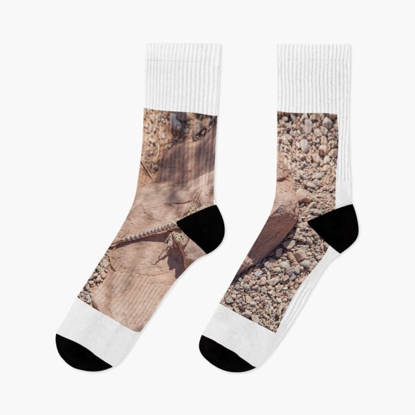 Item preview, Long-nose leopard lizard  designed and sold by LizzieMaher.
