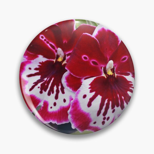 Orchids 2 Pin