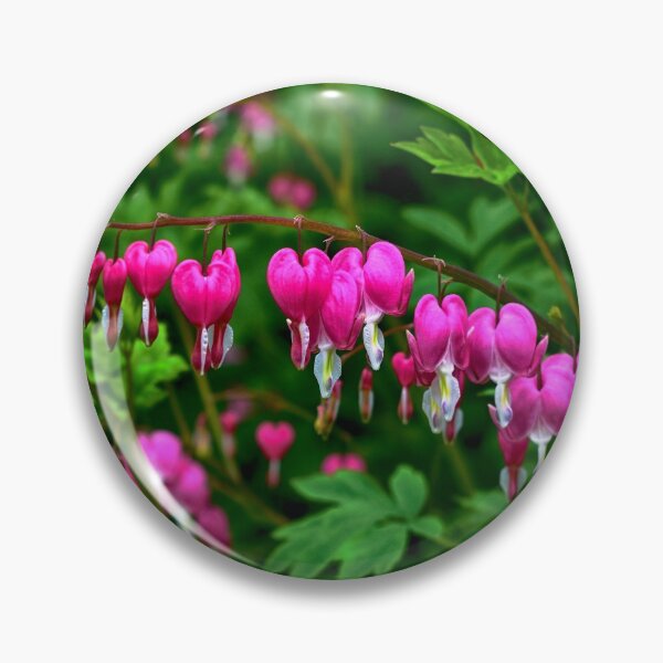 Item preview, Bleeding Heart Flowers designed and sold by James DeFazio.