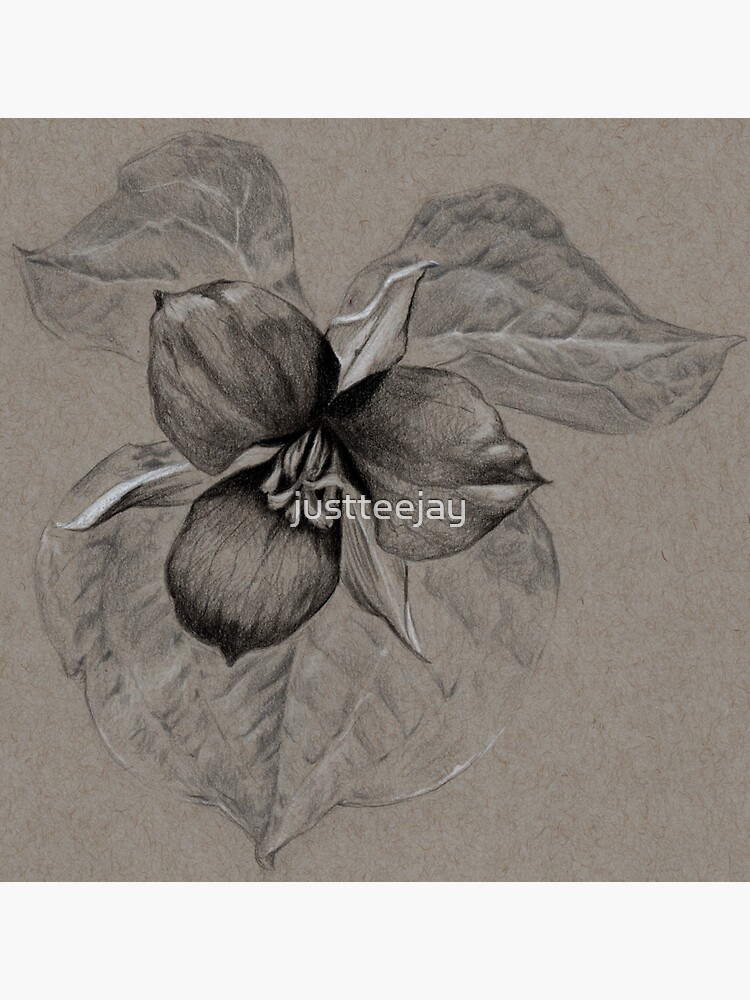 Shirley Liang shared a post on Instagram: “Painterly trillium flower for  Amber🌱” • Follo… | White flower tattoos, Lotus flower tattoo design, Flower  tattoo designs