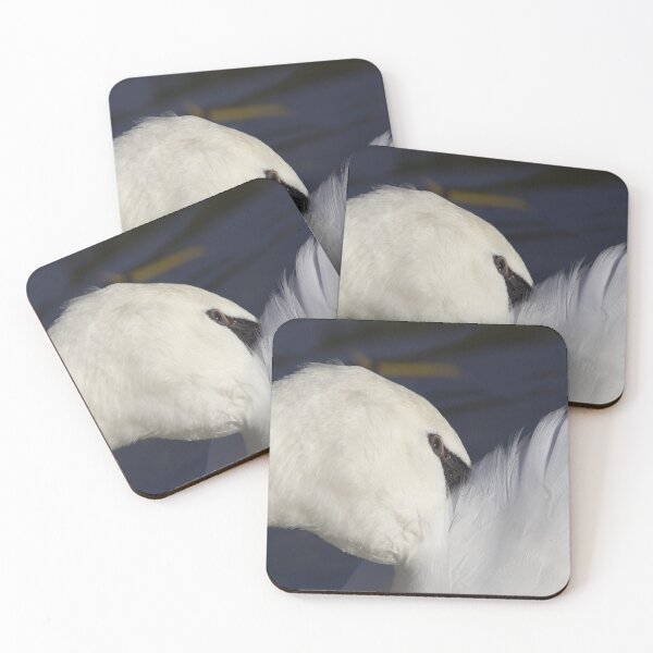 Item preview, Swan Shyness designed and sold by Londonimages.