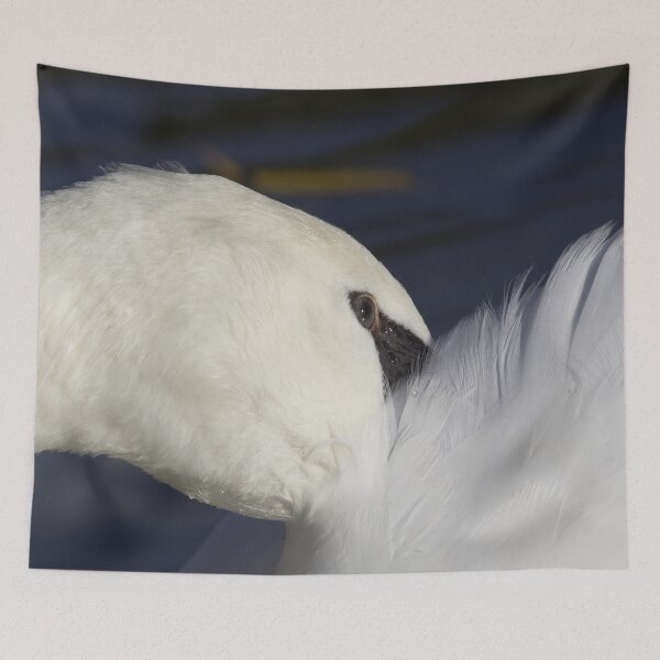 Item preview, Swan Shyness designed and sold by Londonimages.