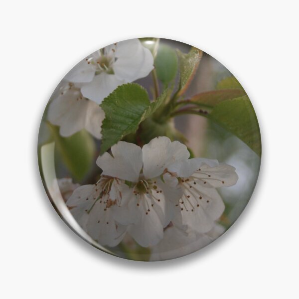 Item preview, Cherry Blossom designed and sold by taiche.