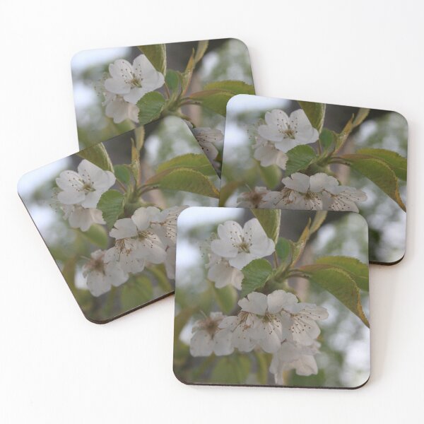 Item preview, Cherry Blossom designed and sold by taiche.
