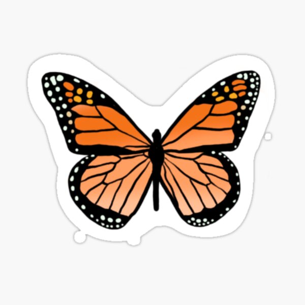 Pretty monarch butterfly  Sticker