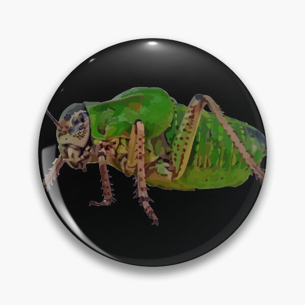Item preview, Katydid Vector On A Black Background designed and sold by taiche.