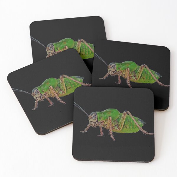 Item preview, Katydid Vector On A Black Background designed and sold by taiche.