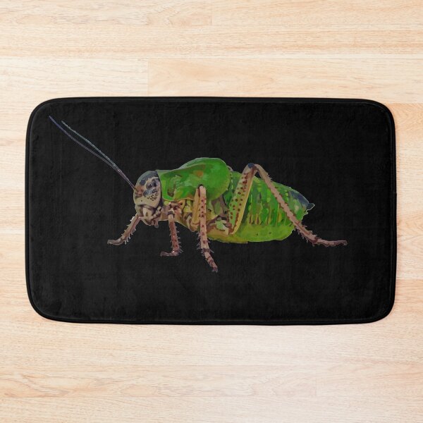 Item preview, Katydid Vector On A Black Background designed and sold by taiche.