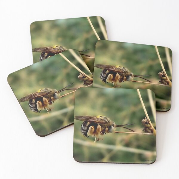 Item preview, HOLDING ON designed and sold by Carla Jensen.