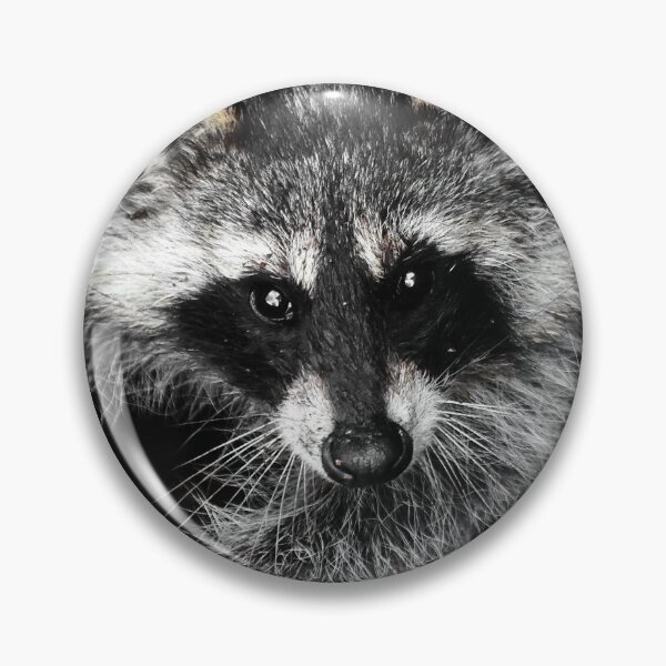 Item preview, Little raccoon designed and sold by Glineur.