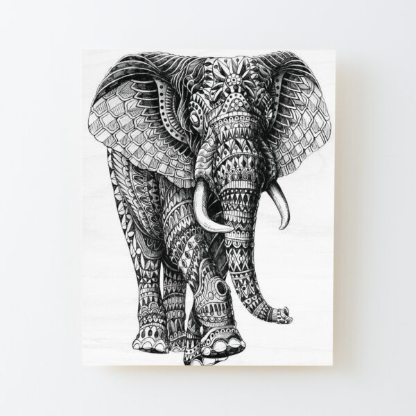 100 Animal Mandalas Para Colorear: Libro para colorear para adultos con  patrones de animales y mandalas (¡Leones, elefantes, búhos, caballos,  perros