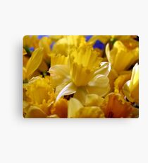 I Wandered Lonely as a Cloud Canvas Print