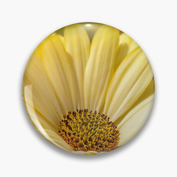 Item preview, Yellow Osteospermum Daisy designed and sold by FOLK ART FUSION by heidiannemorris.