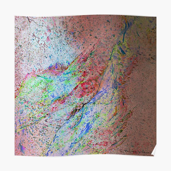 Sunlight on spring blossom Poster