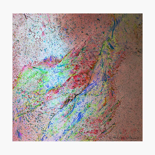 Sunlight on spring blossom Photographic Print