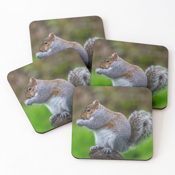 Item preview, Grey Squirrel designed and sold by iCimages.net.