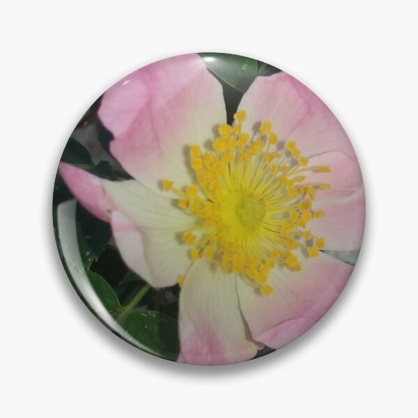 Item preview,  Rose, bloom, garden designed and sold by Sternchen2789.