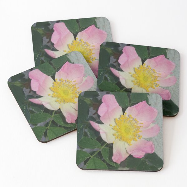 Item preview,  Rose, bloom, garden designed and sold by Sternchen2789.
