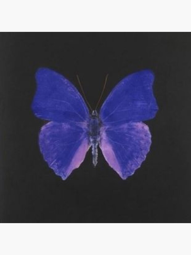 blue butterfly aesthetic sticker by elinguinness redbubble