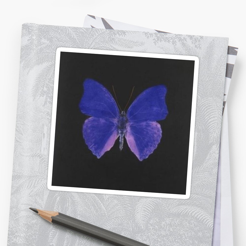 blue butterfly aesthetic sticker by elinguinness redbubble