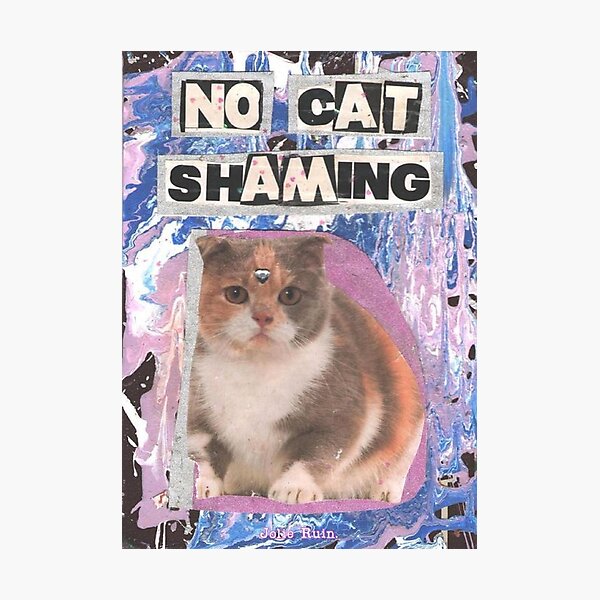cat vintage aesthetic Photographic Print