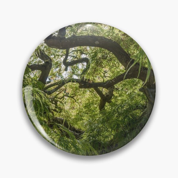 Item preview, Japanese Maple Silhouette designed and sold by georgecolephoto.