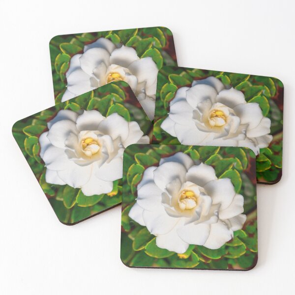 Item preview, CREAMY WHITE MAGNOLIA FLOWER & GREEN LEAVES designed and sold by sharlesart.