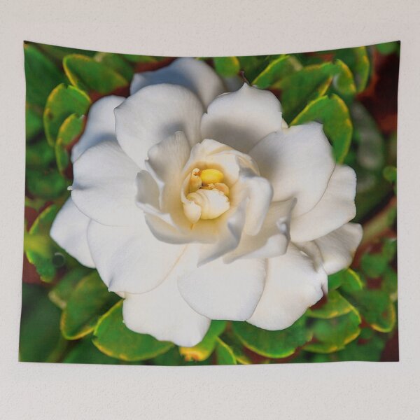 Item preview, CREAMY WHITE MAGNOLIA FLOWER & GREEN LEAVES designed and sold by sharlesart.