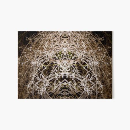 Pagan Spirit Art Board Print