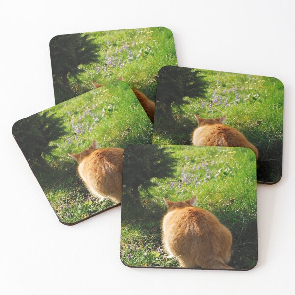 Item preview, Orange cat chasing a bumblebee designed and sold by violateraindrop.