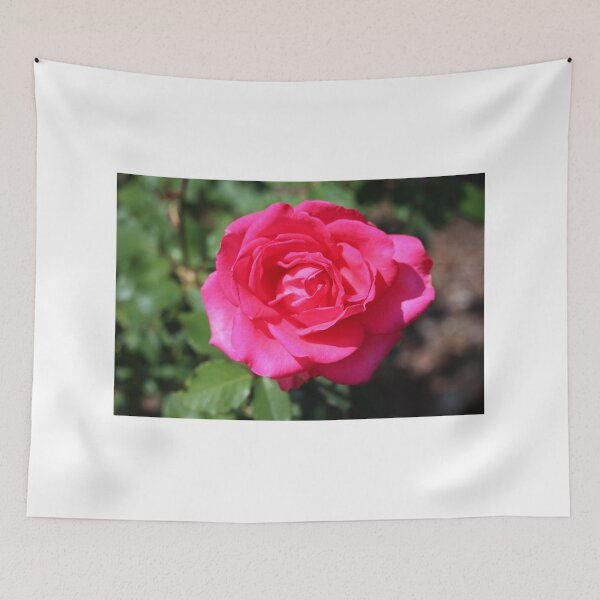 Item preview, Astounding Glory Rose designed and sold by Cynthia48.